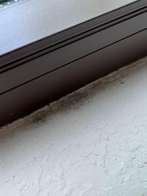 Best Western Plus Hyde Park Chicago Hotel