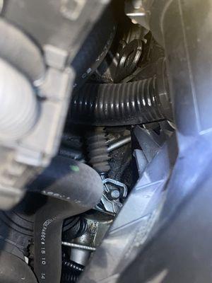 Mossy Honda Lemon Grove