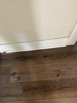 Bryan House Cleaning