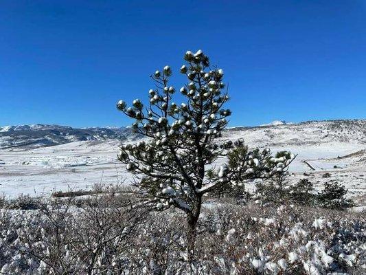 Rabbit Mountain Open Space
