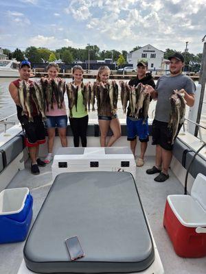 Walleye limit in June