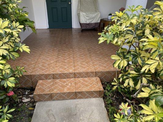 Exotic Service Cleaning