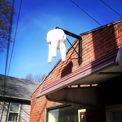 The gnarly tooth in front of the office.