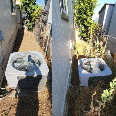 Small space needed clearing