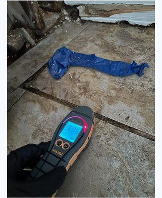 DryAgain Water, Mold and Fire Restoration Services