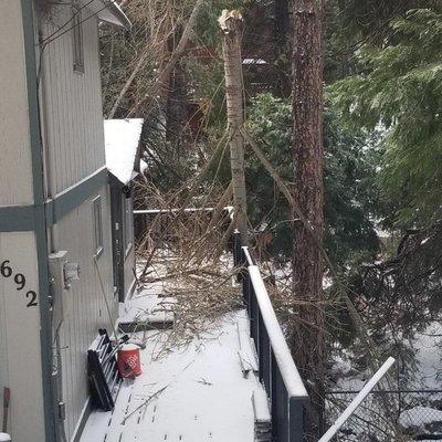 ER Yard Clean Up & Yard Maintenance