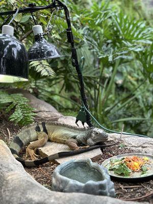 Houston Museum of Natural Science