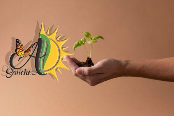 A Sanchez Landscaping
