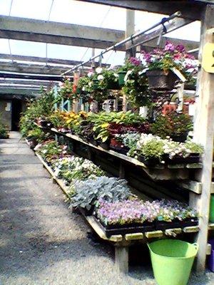 Miller Farms Nursery