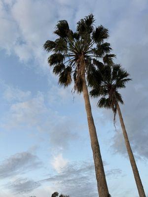 Heathrow Legacy Country Club