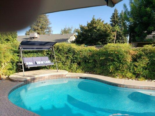 Lewis Kings Tree Service