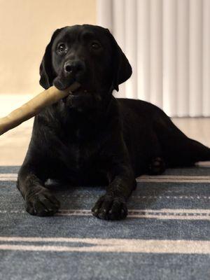 Movie time with the family and snacks.