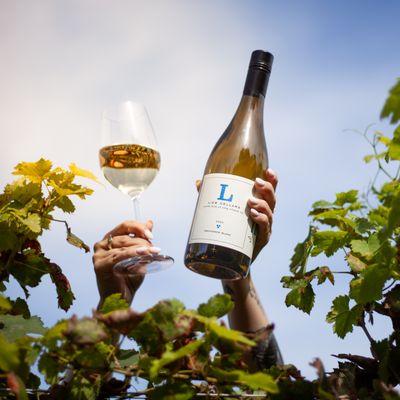 New Release: Sauvignon Blanc