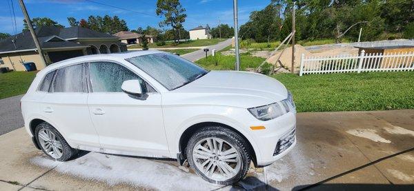 Catscol Projects & Services