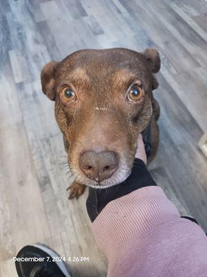 Oasis Springs Apartment Homes