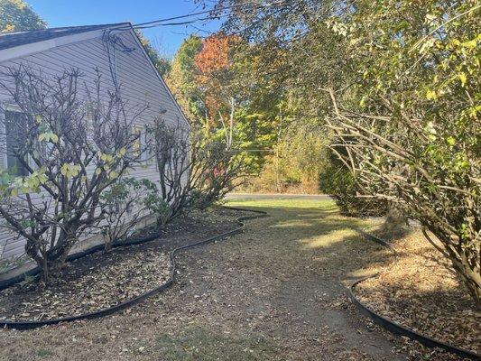 Lenny’s Garden & Tree Services