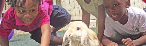 Bambi Day Care Center