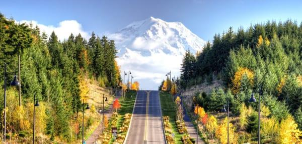 Liz Keeps - Keller Williams Reality