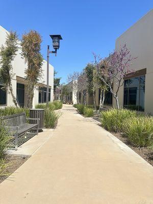 I recently visited AllCare Family and had an exceptional experience!