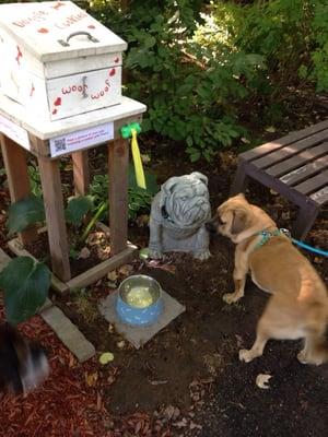 Greenbelt Walkway- Evans St To Wainwright Fields