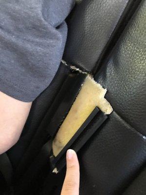 Orlando Transportation & Atlas Tours