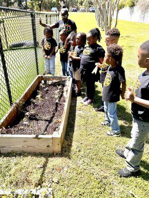 Brownsville Preparatory Institute