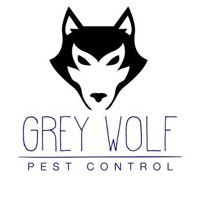 Grey Wolf Pest Control