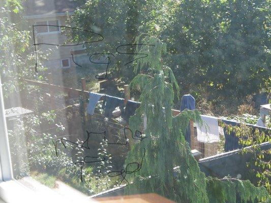 Linn Schisel & DeMarco