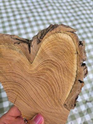 Little Hikers Long Island