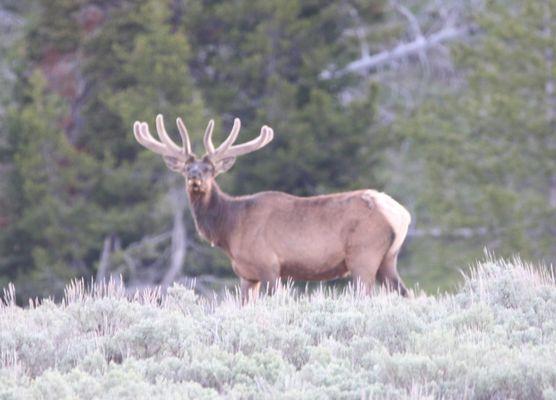 Mountain Mikes Tours