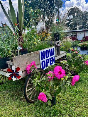 Color Your World Lawn & Garden Center