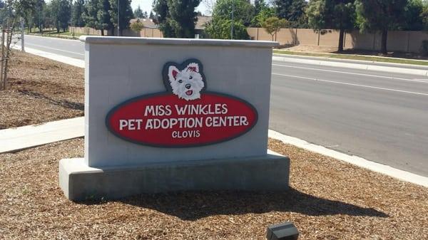 Miss Winkles Pet Adoption Center