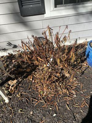 Arbuckle Nursery & Landscaping