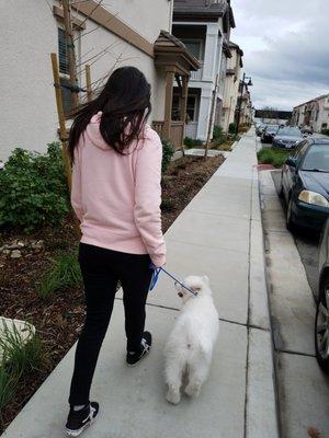 Catahoula Pet Services