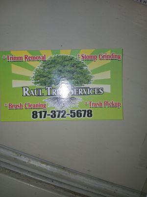 Raul's Tree Service