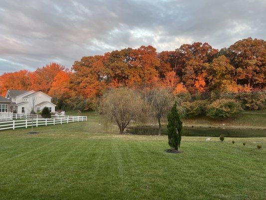 Lori Waldman - Long and Foster Real Estate