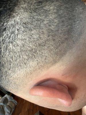 The Handsome Wolf Barbershop