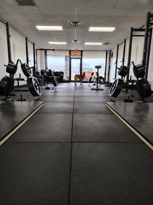 Traditional Strength