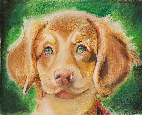 Drawn2Art - Los Gatos