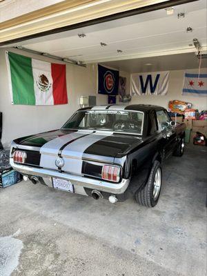 Performance Mustangs