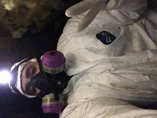 Alternative Pest Solutions