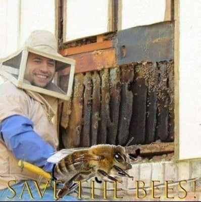 Mr. Bee Removal