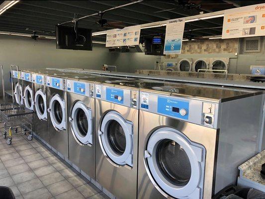 Local Laundry - Pin Oak