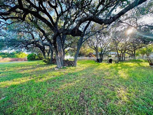 The Gruene Agave Bungalows