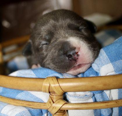 Elizabeth Ray Photography