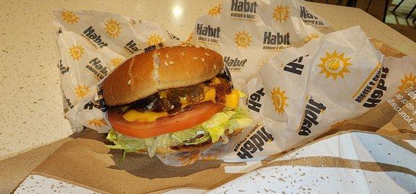THE Original Char Cheeseburger Charburger with Cheese
