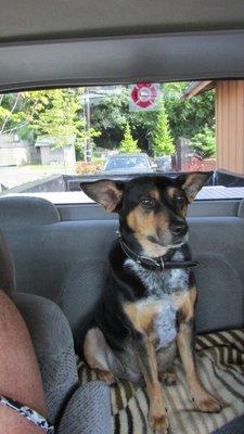 RIP Chance, I'll see you on the other side of the Rainbow Bridge