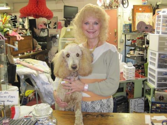 Stuart's Hollywood Collectibles