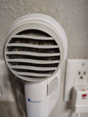 unknown filth inside the blow dryer