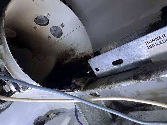 Paul's Washer & Dryer Repair Service